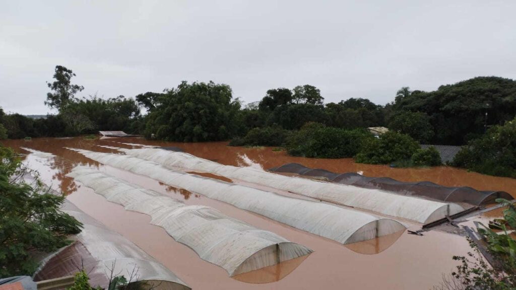 Sepa cómo apoyar a las familias asentadas afectadas por las inundaciones en Rio Grande do Sul