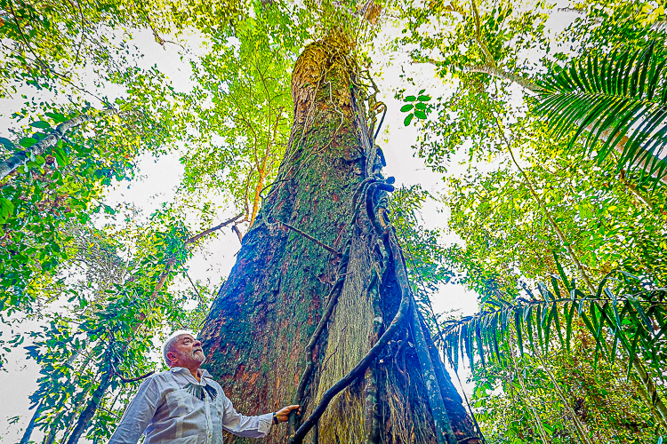 Brasil anuncia meta de redução de emissões de carbono até 2035
