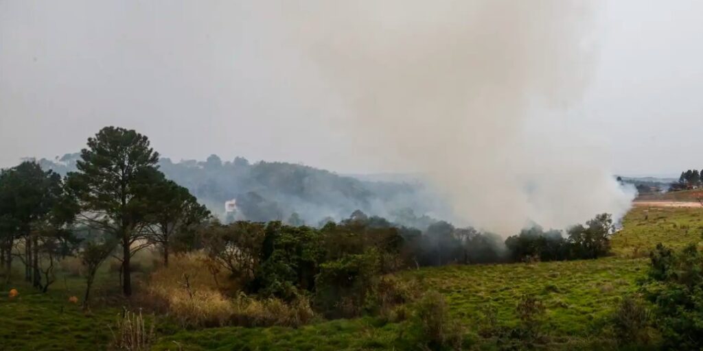 STF dá prazo de 30 dias para Tarcísio expor gastos e ações contra queimadas