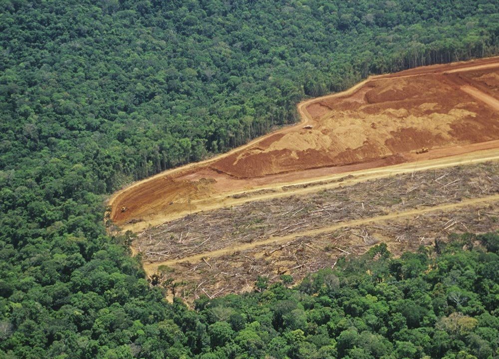 Agricultura intensiva e desmatamento levam planeta ‘à beira do precipício’, diz ONU