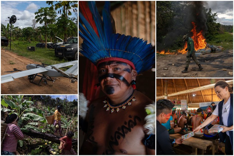Garimpos caem 91% na terra yanomami com 3.536 operações em 2024 Garimpos caem 91% na terra yanomami com 3.536 operações em 2024