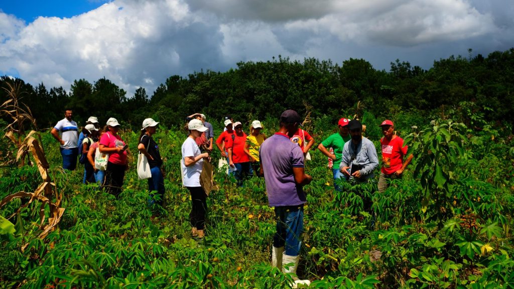Conheça 5 experiências da Reforma Agrária na região do Bauru, SP