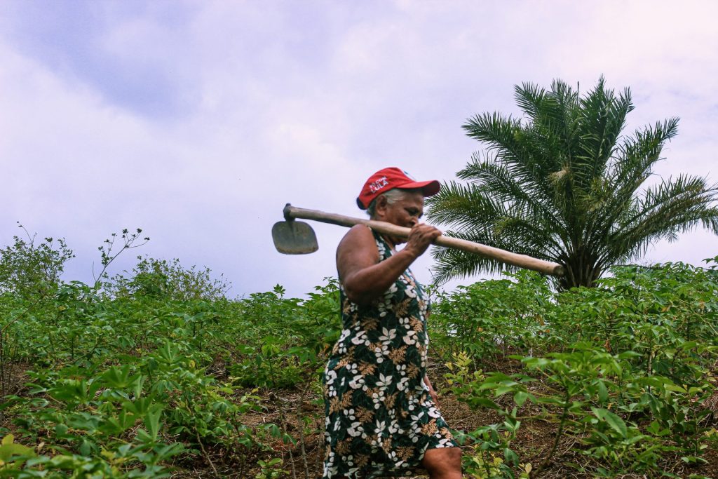 Acampamento do MST ameaçado por pistoleiros tem 20 anos de resistência em Joaquim Gomes (AL) Acampamento do MST ameaçado por pistoleiros tem 20 anos de resistência em Joaquim Gomes (AL)