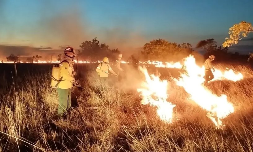 Apenas 25% dos inquéritos da PF sobre desmatamento e queimadas indicia alguém