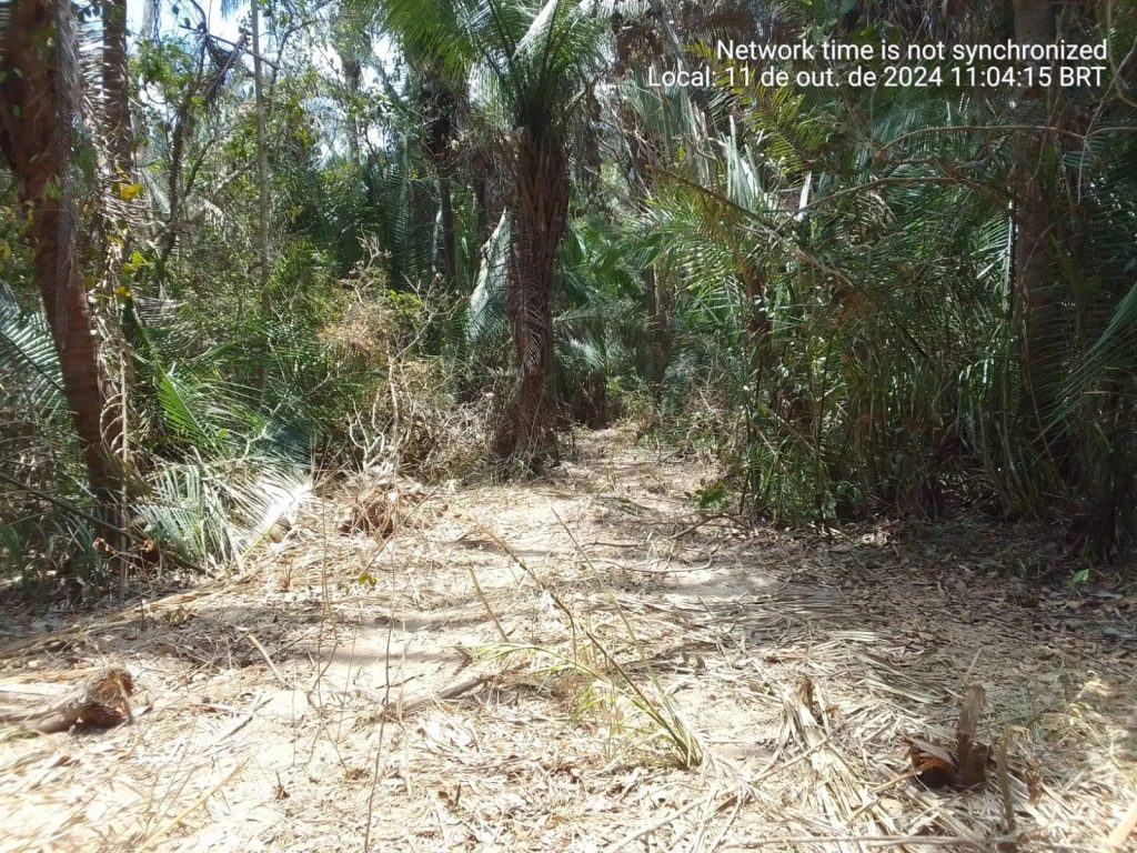 Agronegócio amplia violência contra quilombolas no Maranhão para plantar soja Agronegócio amplia violência contra quilombolas no Maranhão para plantar soja