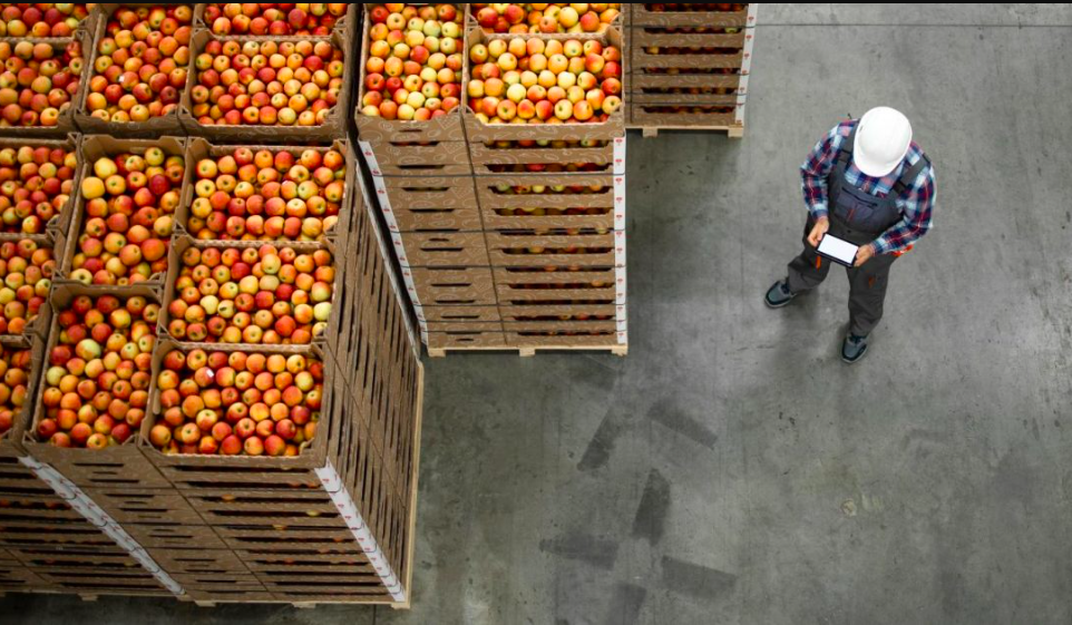 Cesta básica compromete 40% do salário mínimo e juros altos penalizam mais pobres