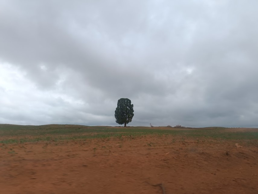 Uso de agrotóxicos cresce quase 200% em 10 anos no Maranhão e expõe moradores a riscos