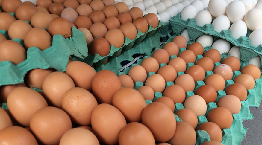 Prévia da inflação desacelera em março, mas alimentação ainda puxa o índice