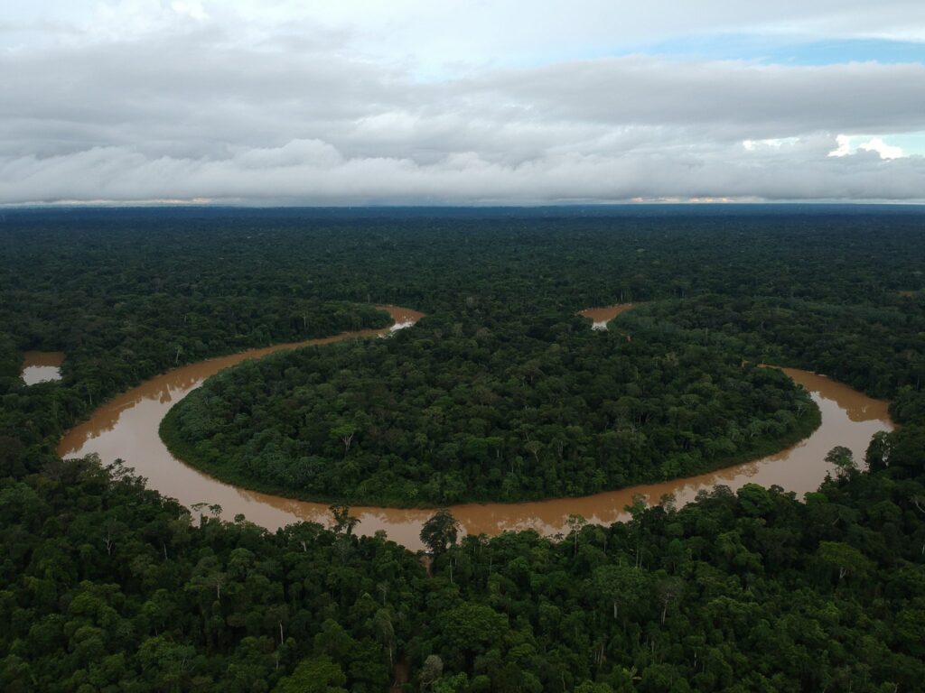 Alertas de desmatamento na Amazônia caem 64% e registram o melhor fevereiro