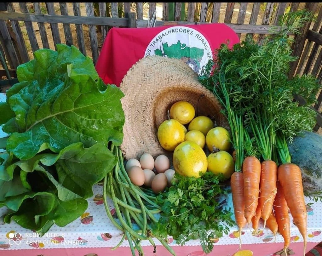 17 anos do Assentamento Sezínio Fernandes em Linhares (ES): memórias da luta pela terra e dignidade