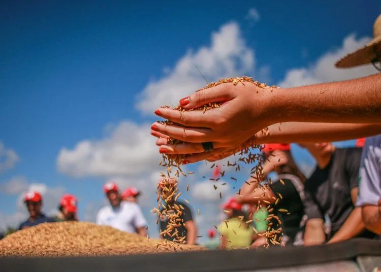 ‘Conflito agrário só é solucionado quando o trabalhador conquista direito à terra’, diz ouvidora nacional do MDA ‘Conflito agrário só é solucionado quando o trabalhador conquista direito à terra’, diz ouvidora nacional do MDA