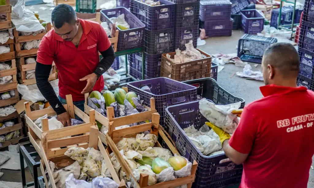 Brasileiros de 40 a 59 anos estão entre os que mais conseguiram empregos formais em 2024 Brasileiros de 40 a 59 anos estão entre os que mais conseguiram empregos formais em 2024