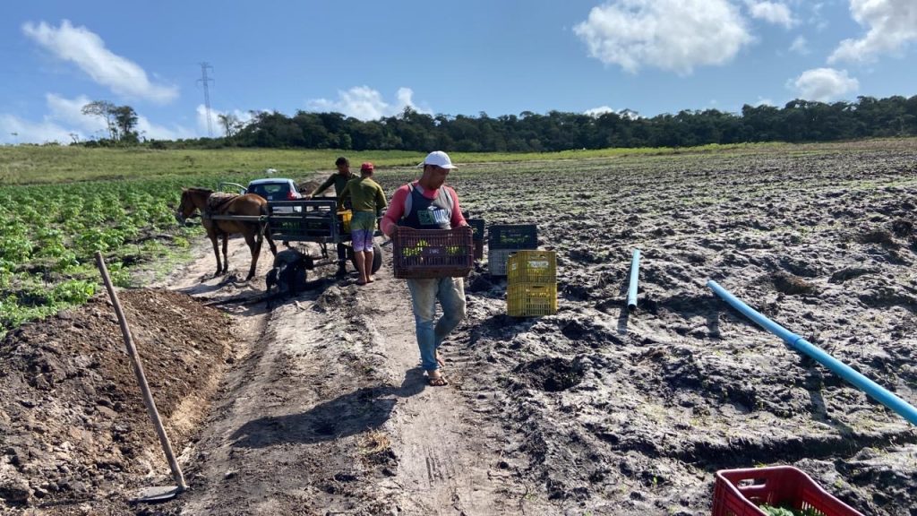 Símbolo de resistência se converte em imissão de posse para camponeses do MST no estado de Pernambuco