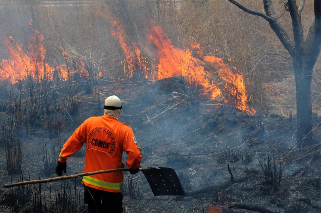 STF forma maioria a favor de que multa por crime ambiental é imprescritível