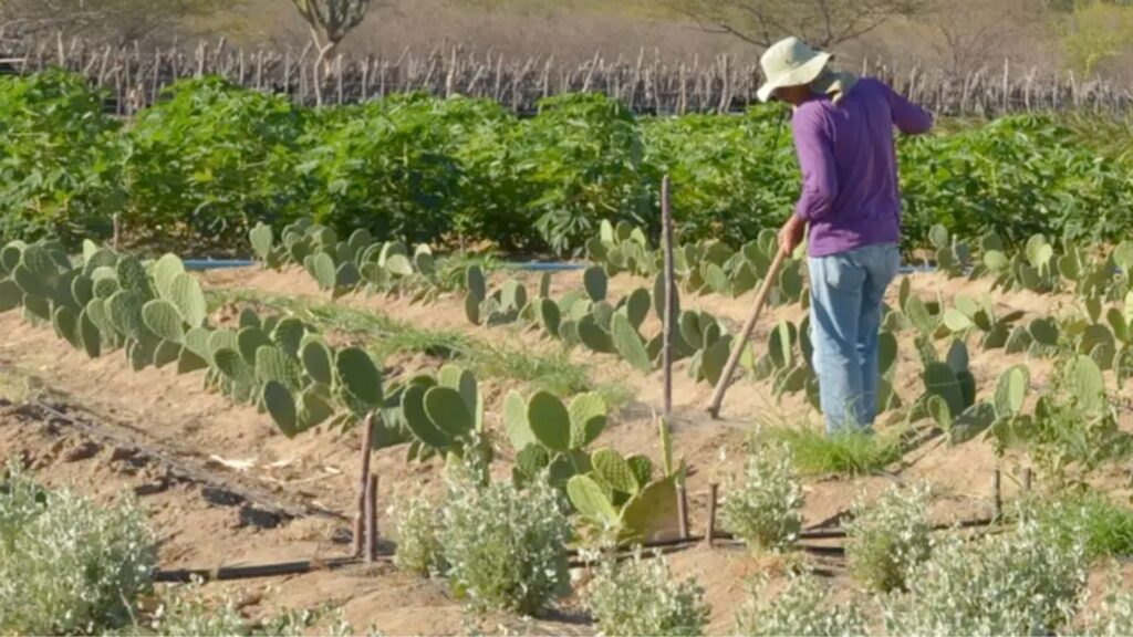 87% dos reajustes salariais em fevereiro ficam acima da inflação