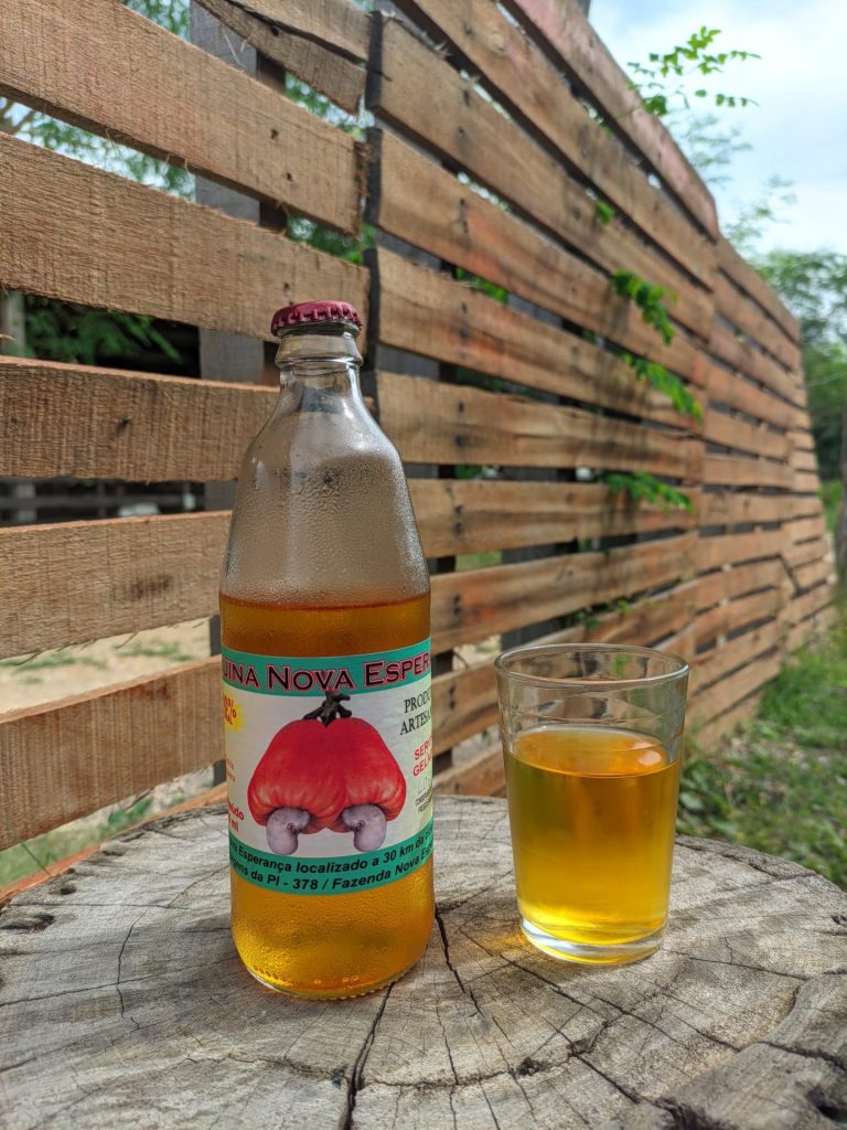 Dos assentamentos da Reforma Agrária para o Brasil: A riqueza do caju e da cajuína do PI Dos assentamentos da Reforma Agrária para o Brasil: A riqueza do caju e da cajuína do PI