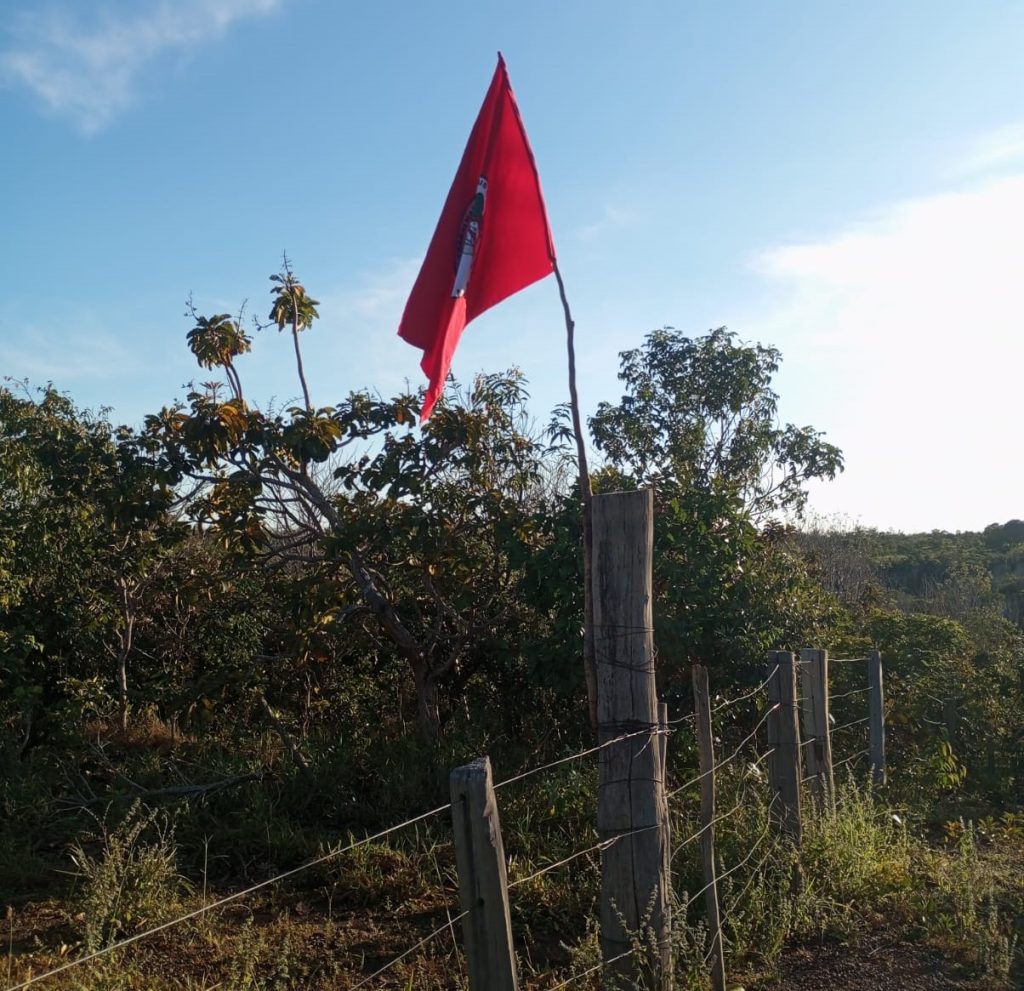 MST no TO monta acampamento e retoma área invadida e grilada em terras da União