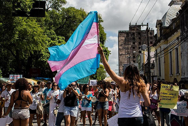 A organização e luta da comunidade trans pelo socialismo A organização e luta da comunidade trans pelo socialismo