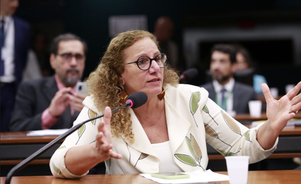 Jandira Feghali vê dificuldades para projeto da anistia avançar na Câmara