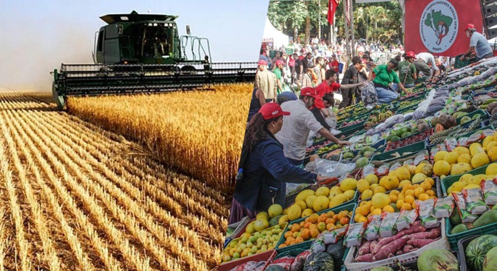 É possível acabar com a fome no Brasil? A Reforma Agrária como solução para alimentação saudável