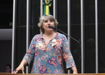Bancada do PT vota a favor do projeto que cria programa de saúde mental para pessoas idosas Bancada do PT vota a favor do projeto que cria programa de saúde mental para pessoas idosas