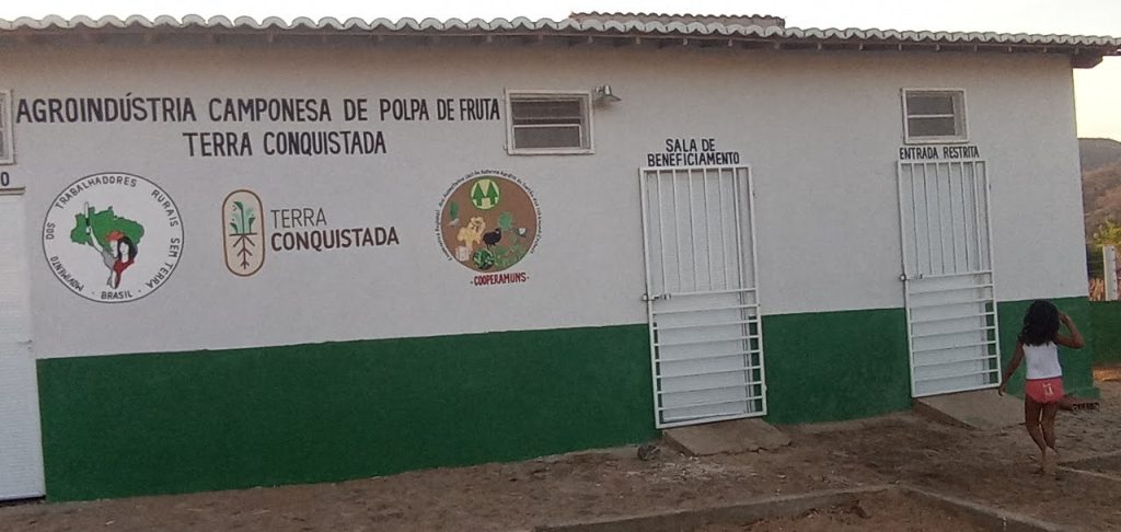 A força da produção de caprinos e ovinos no Sertão dos Inhamuns, Ceará