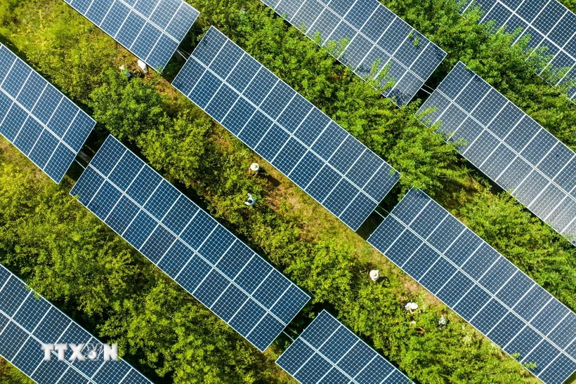 EUA ameaçam tarifas de até 3.521% sobre painel solar e testa parceria do Vietnã