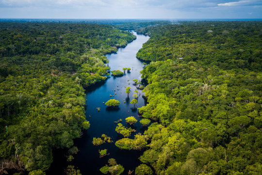 A natureza como ator político