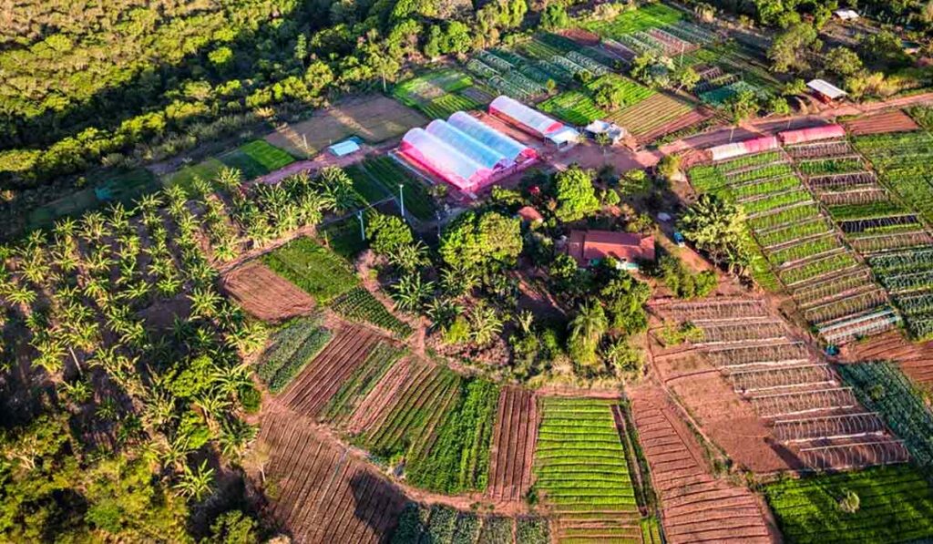 Como superar a monotonia agroalimentar?