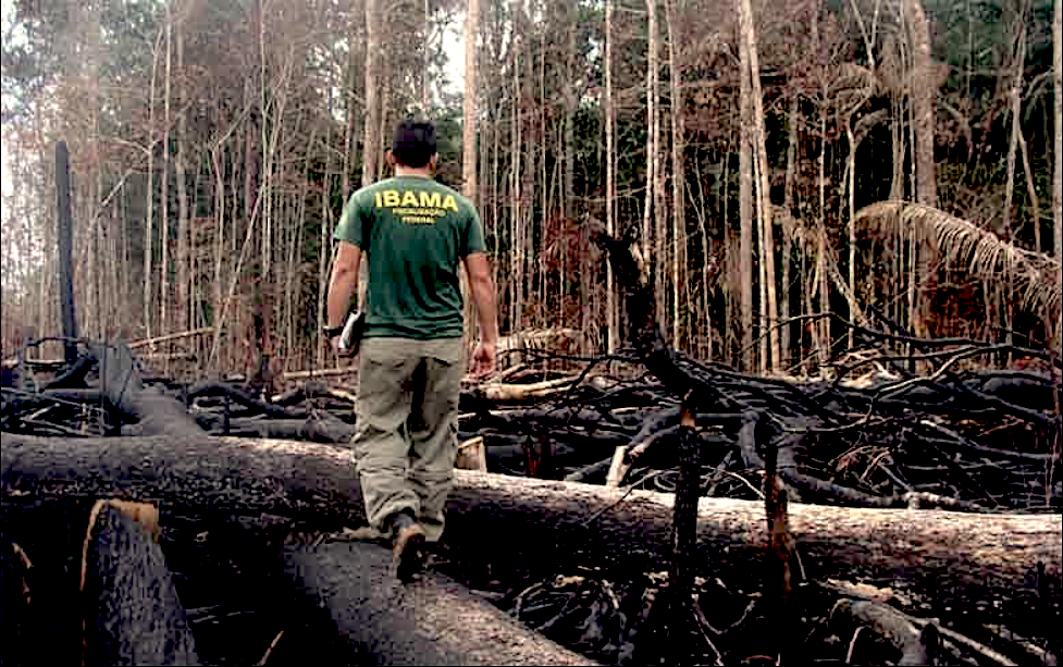 Senado promove maior desmonte do licenciamento ambiental no país