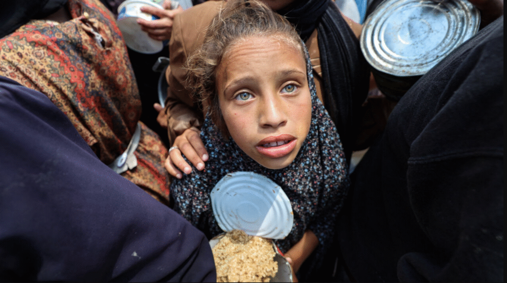 A fome em Gaza e Primo Levi 