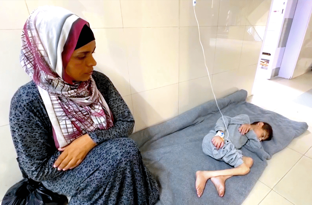 Em Gaza, vendedores de alimentos são alvo preferencial de bombardeios Em Gaza, vendedores de alimentos são alvo preferencial de bombardeios
