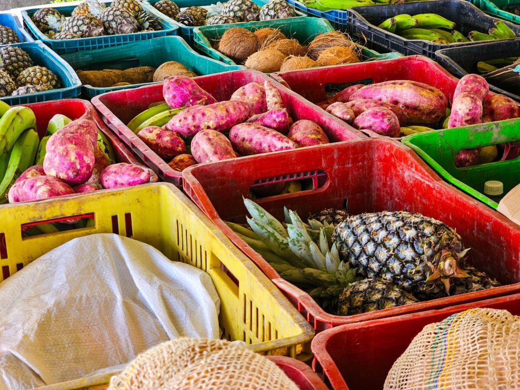 Camponeses de Alagoas levam 13 toneladas de produtos para a Feira Nacional do MST em São Paulo Camponeses de Alagoas levam 13 toneladas de produtos para a Feira Nacional do MST em São Paulo