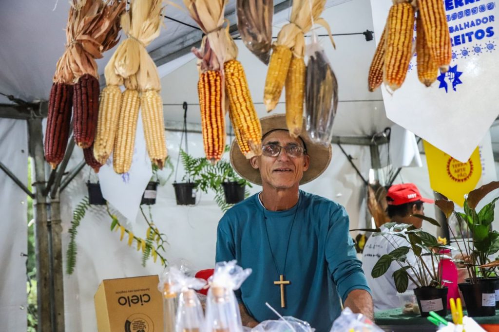 Sementes e mudas de árvores nativas como cadeia produtiva: cuidar dos bens comuns e gerar renda para a agricultura familiar Sementes e mudas de árvores nativas como cadeia produtiva: cuidar dos bens comuns e gerar renda para a agricultura familiar