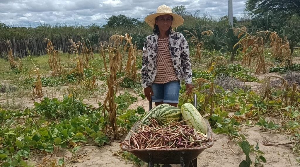 Caatinga: entre a ameaça de megaprojetos e a resistência do Semiárido