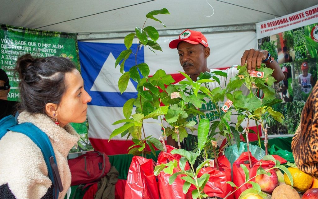Vítima de despejo violento, Adailton mantém viveiro com 80 mil mudas frutíferas: ‘Sem Terra é como folha. Tomba um, vem 10’ Vítima de despejo violento, Adailton mantém viveiro com 80 mil mudas frutíferas: ‘Sem Terra é como folha. Tomba um, vem 10’