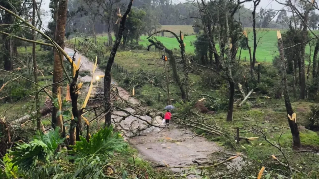 Tornado causa destruição em área rural de Erval Grande, na região Norte do Estado 