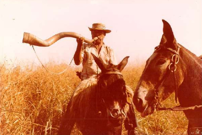 Conheça a Fazenda Volkswagen, acusada de trabalho escravo na Amazônia