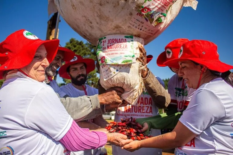 MST no PR anuncia 3ª Jornada da Natureza com ações de reflorestamento da Mata Atlântica