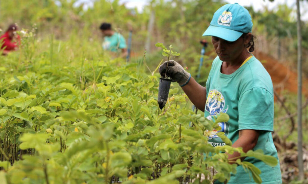 Stedile: Como enfrentar de fato a crise ambiental?