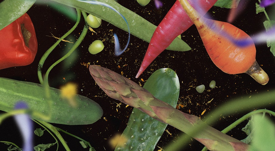 Passeio no jardim secreto dos gêneros