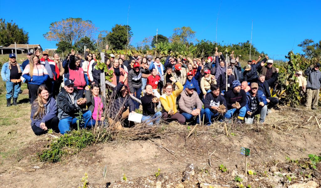 5ª edição do AgroPANC reforça aliança entre agroecologia e plantas alimentícias não convencionais