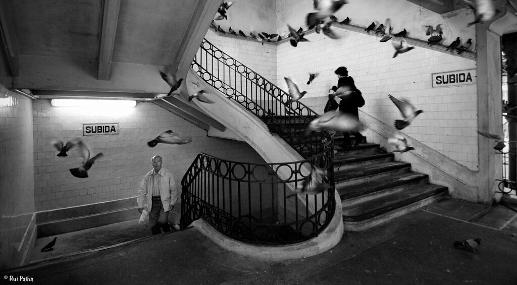 Para desencarcerar a imaginação política