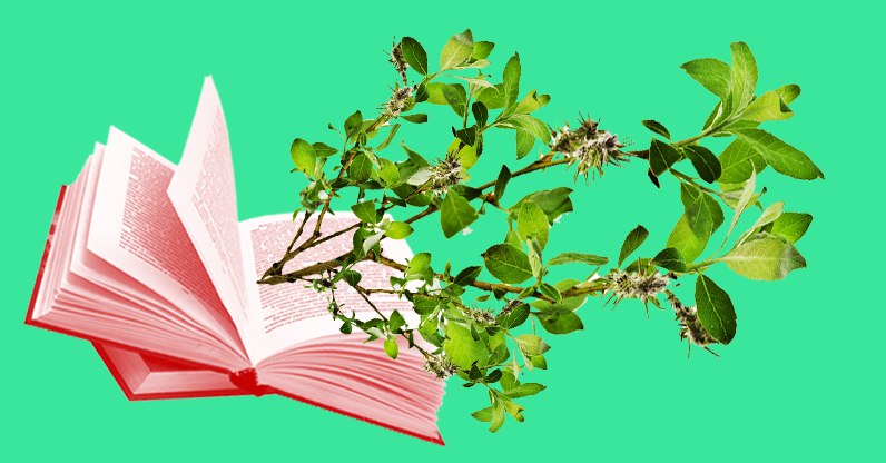 Por uma Revolução Sementeira