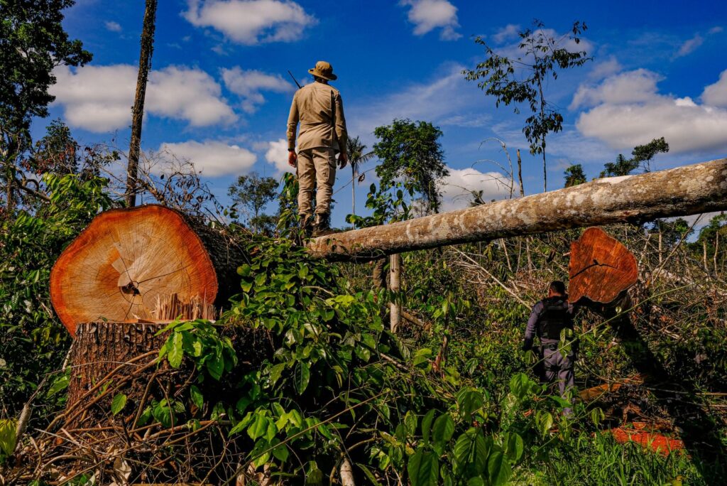 Bioeconomia em uma Amazônia sem bio Bioeconomia em uma Amazônia sem bio
