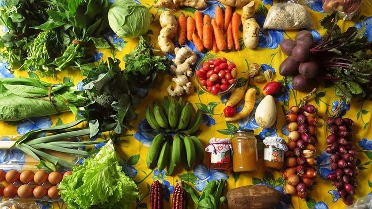 Alimentação: os porquês da produção e consumo locais