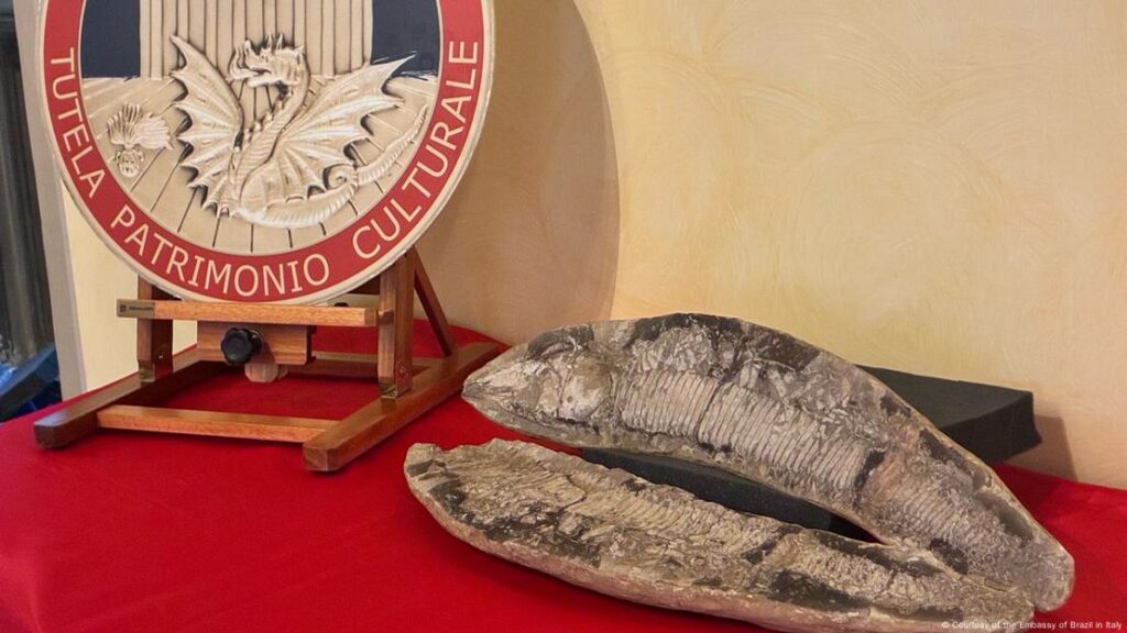 Como o Brasil consegue trazer fósseis no exterior de volta?