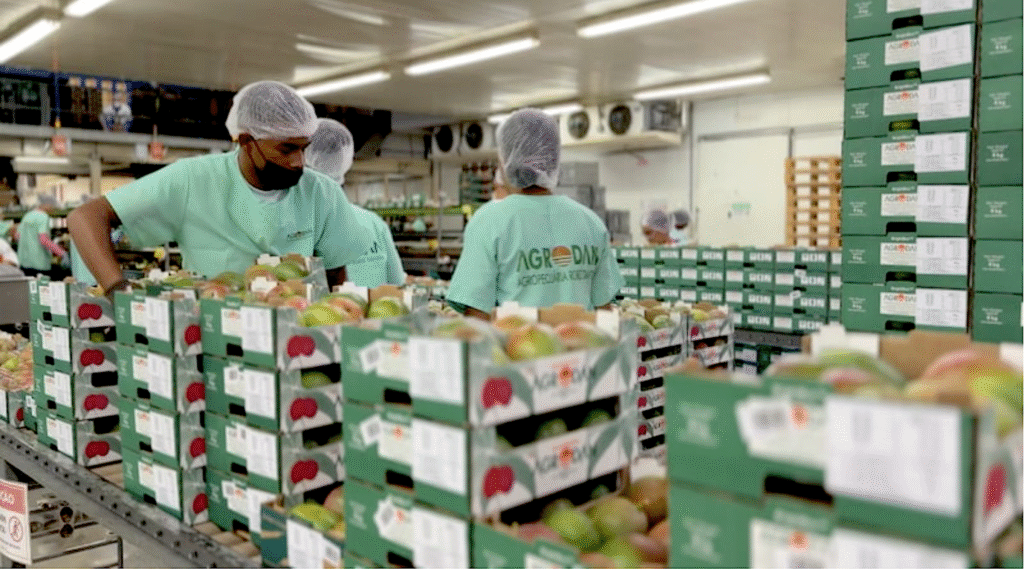 Economistas vêem resposta assertiva do governo Lula ao tarifaço de Trump