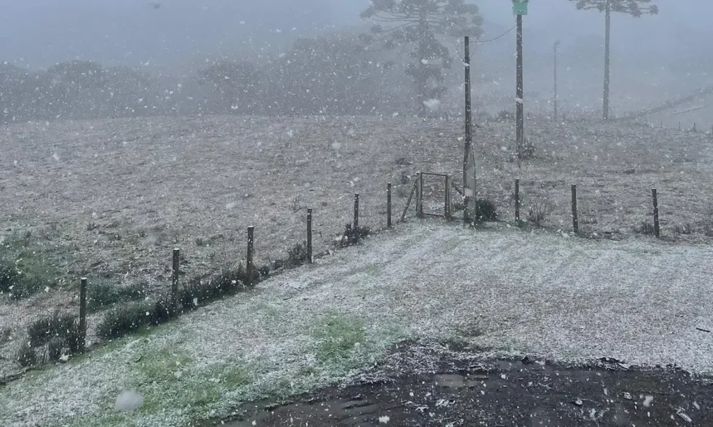 Sul e Sudeste começam semana com frio; teve neve no Brasil Sul e Sudeste começam semana com frio; teve neve no Brasil