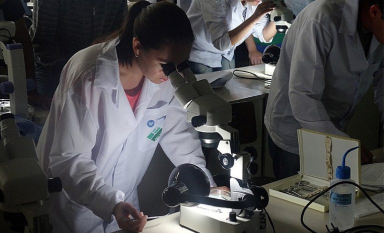 Por que curso de Medicina para assentados e quilombolas virou alvo de ataques e fake news? Por que curso de Medicina para assentados e quilombolas virou alvo de ataques e fake news?